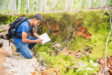 Fototapeten Biologist or botanist recording information about small tropical plants in forest. The concept of hiking to study and research botanical gardens by searching for information. © Panumas