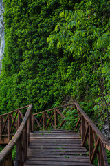 Obraz premium トルコ サフランボル近郊のインセカヤにあるトカトリ峡谷の遊歩道