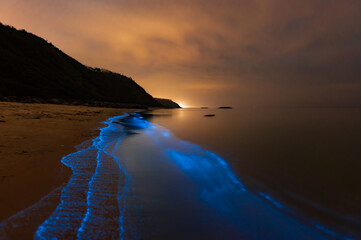 Bioluminescence Denmark