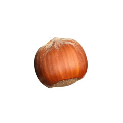 Tasty organic hazelnut isolated on white. Healthy snack