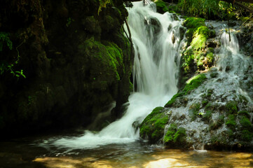 cascade dans la mousse 