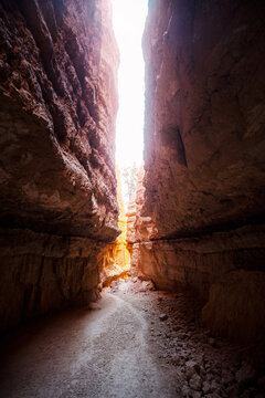 Navajo Loop Trail, Bryce Canyon National Park, Utah