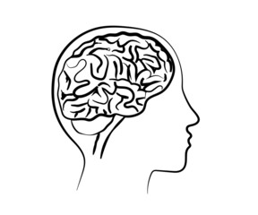 Human brain and head silhouette on an isolated background. Symbol. Vector illustration.