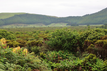 Fototapeta na wymiar View of the Caldeira de Guilherme Moniz, Terceira island, Azores