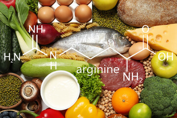 Different organic products, top view. Sources of essential amino acids