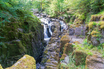 The Black Linn Falls on the River Braan, at The Hermitage located near Dunkeld, Perthshire, Scotland, UK.  Viewed from the Hermitage Bridge.. - 457536169