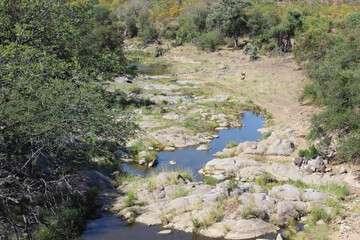 N'washidzundzu River/  N'washidzundzu River /