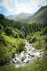 Fototapeta na wymiar petit pont sur la rivière dans la vallée alpine
