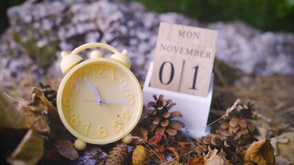 daylight savings time ends first november