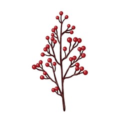 ホーリーベリー　赤い実のついた枝　線画なし