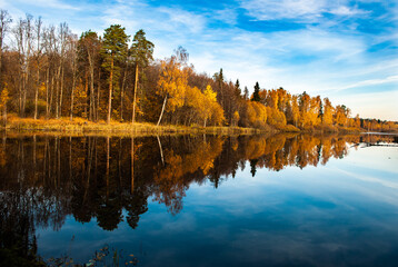 TREES IN GOLDEN AUTUMN REFLECTED IN THE RIVER. 