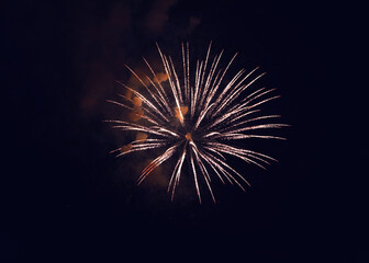 Fototapeta premium Beautiful bright firework lighting up night sky