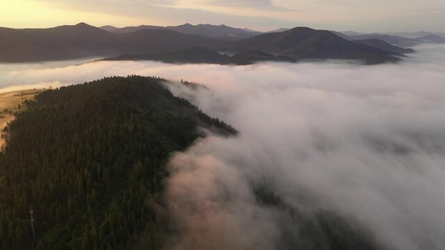 Drone flyght over flowing morning fog in summer mountains. Beautiful sunrise light glowing on forest, medows and green hills. UHD 4k video