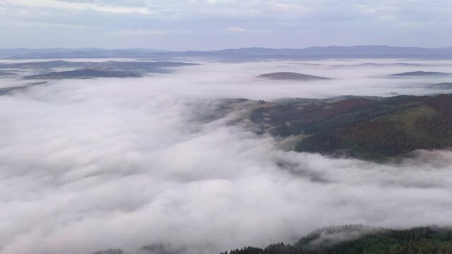 Drone flyght over flowing morning fog in summer mountains. Beautiful sunrise light glowing on forest, medows and green hills. UHD 4k video