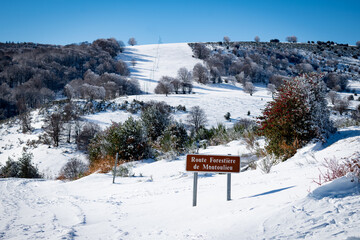 French Pyrenees