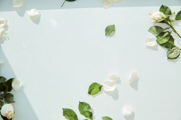 Water surface texture, white delicate background with white rose petals and leaves. Copy space
