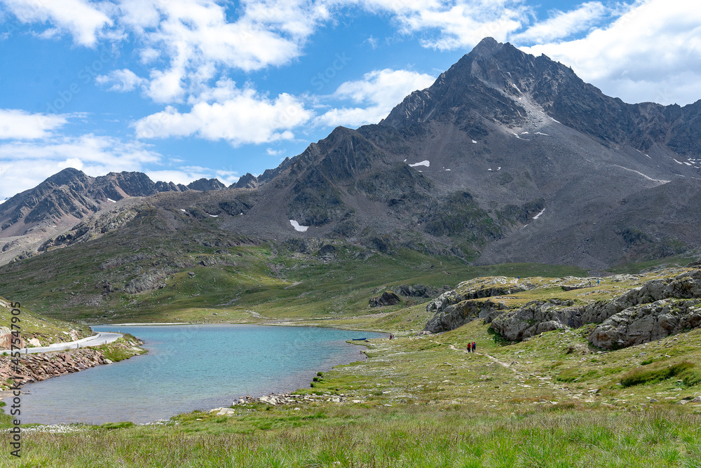 Wall mural passo gavia 2