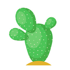 Cactus flat illustration on white background. Desert and exotic plant.