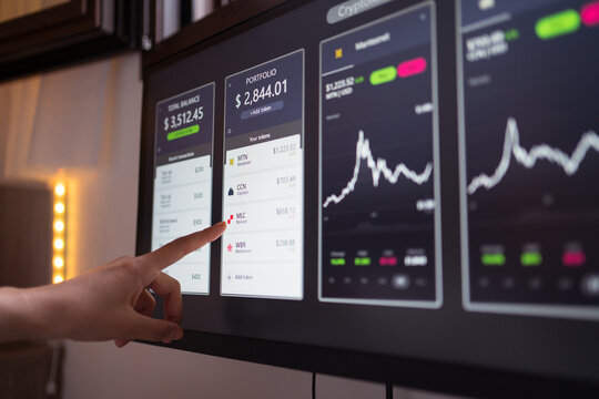 Woman pointing at monitor with crypto wallet data