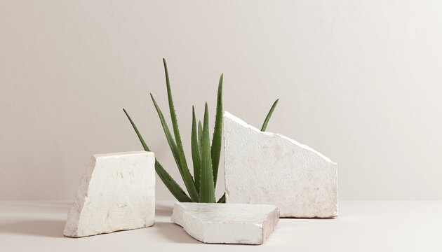 Aloe vera minimal scene cosmetic product presentation template. Beige pastel background with natural plant, leaves for object promotion, 3d rendering.