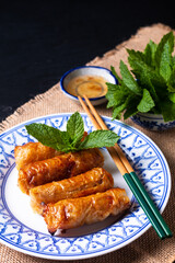 Food concept Vietnamese fried Rice paper spring rolls with mints on black background with copy space