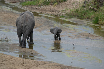 Tanzania