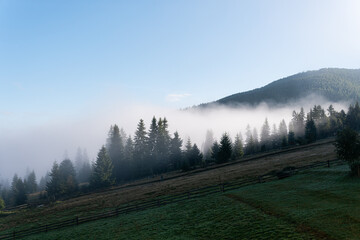Fototapeta premium Beautiful morning landscape of mountains and trees in fog