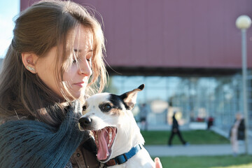 young woman holding jack russel terrier dog white it yawns. happy dog with owner outdoors. pet friend, love and togetherness.