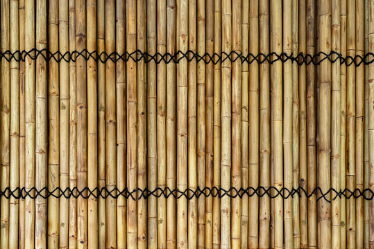 Background of binded yellow bamboo wall with black rope