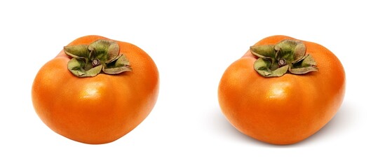 柿 かき イラスト リアル 