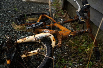 Obraz premium Rusty old bike