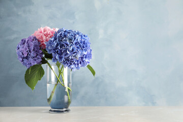 Vase with beautiful hortensia flowers on light table against color background. Space for text