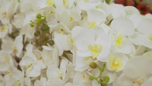 Many branches of orchids are tied in a bouquet and decorate the solemn event. Fresh white orchid flowers close up