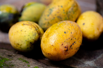 Manga uma Fruta Brasileira e tropical. 