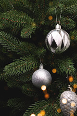 Metallic silver Christmas decorations hanging on a fir tree. New Year ornaments with olace for text.