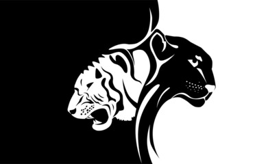 tigr and pantera black and white © Evgeniy Silin