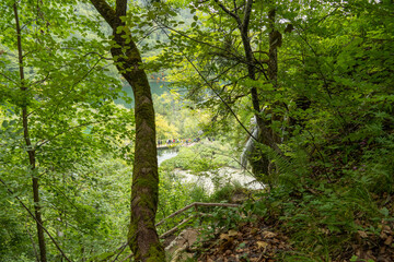 Obraz premium lake landscapes