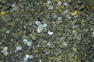 Raw materials and chemicals used in the belt production process