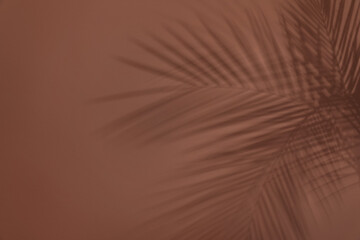 Shadows of tropical palm branches on brown wall. Space for text