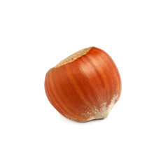 Tasty organic hazelnut in shell on white background