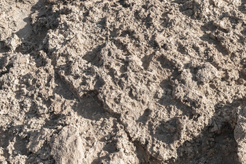 Rough coastal rock on a sunny day, natural stone