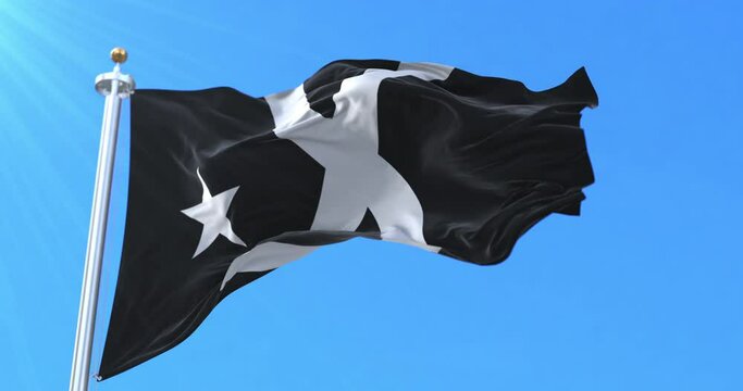 Catalan Black Flag, Black Flag of the Tricentenary. Loop