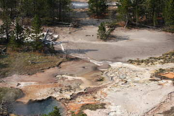 Geyser flowing into stream with forest and river.