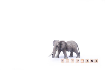 Animals alphabet ABC. Elephant in letters. Isolated on white background &ndash; Image. High quality photo