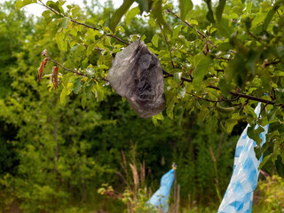 plastic bag scares away birds in the garden