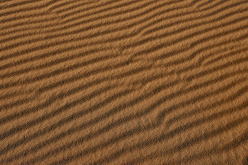 Closeup view of sand dune in desert as background