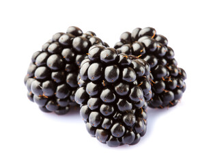 Blackberries isolated on white background	