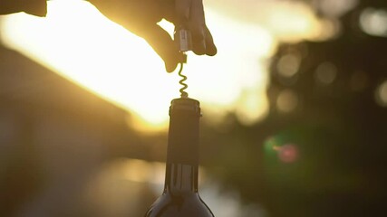 Hands of woman opening bottle of red wine with a corkscrew in park at sunset, close up