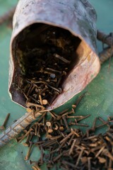 nail, rust, building material, pointed, bunch of nails