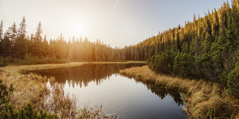 Morning Landscape With Lake in a Mountain Forest.